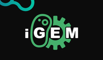 Concours iGEM 2022 : l’équipe iGEM IONIS entre dans l’histoire !