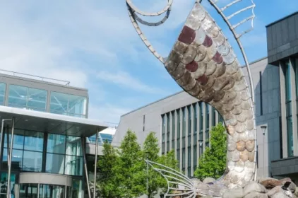 institute-of-technology-sligo