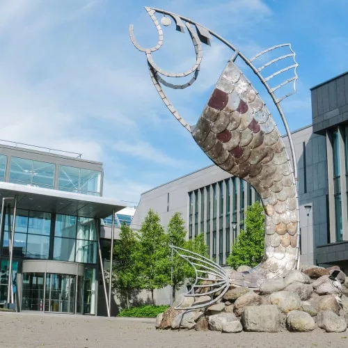 institute-of-technology-sligo