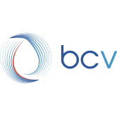 logo-bcv