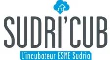 sudricub